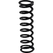 131527_131528 No. 42 Spring