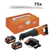 BIG DEAL Seghetto recipro a batteria + lame per seghetto