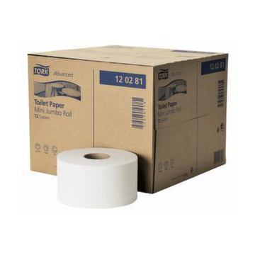 Toilettenpapier, Rolle, perforiert, L 170, 2-lagig, weiß