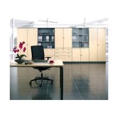 Büroschrank,HxBxT 1920x800x430mm,Dekor Korpus Ahorn,Dekor Front Ahorn