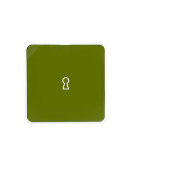 Schlüsselschrank, 12 Haken, Korpus weiß, Front grün