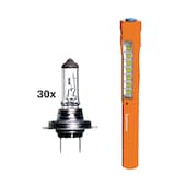 Halogenlampe H7 Longlife 12 V & Pen Light