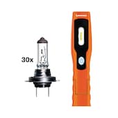 Halogenlampe H7 Premium 12 V & Pocket DuoLux Bright