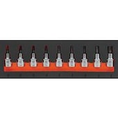 Module de rangement mousse douilles embout Torx entraînement 1/2