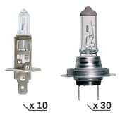 Pack ampoules VL 12V