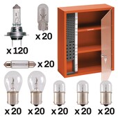 Présentoir & 300 ampoules 24V
