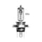 20er-Pack Halogenlampe H4