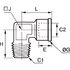 Equerre égale mâle BSP conique-femelle BSP cylindrique laiton nickelé série 0913