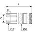 Coupleur femelle laiton nickelé DN 5,5 pour profil ISO B BSP cyl. série 9114 23