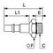 Embout mâle acier nickelé DN 5,5 pour profil ISO C BSP cylindrique série 9087 18