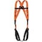 BODY HARNESS BASIC 2 POINTS