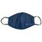 Mouth-Nose mask blue