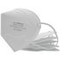Glory Safe FFP2 Mask
