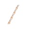 Lynx Premium 9,6W/m IP65 (12V DC), 5 m, Plastique, 2 u