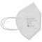 Fine Dusk Mask FFP2 Earloop 2 