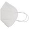 Fine Dusk Mask FFP2 Earloop 2