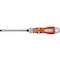 SCR.DR.STEELC. SLOT 5,5x100 P