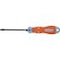 SCR.DR. PZ 2x100 P 