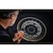 Security wheel nut