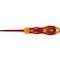 SCR.DR. VDE R-TX 20x80