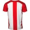Koszulka WORLD CUP 2026 POLSKA