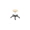 Hocker,Sitz H 410-540mm,Sitz Buche,Gestell schwarz,Lift verchromt,Rollen