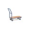 Schiebebügelwagen, Tragl. 250kg, Ladefl. LxB 850x450mm, Holzplatte