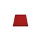 Waschbare Schmutzfangmatte, f. innen/außen, LxB 1500x900mm, rot