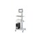 PC-Station,HxBxT 1770x650x650mm,Monitorhalter,3 Böden,Ebenen lichtgrau