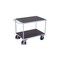 Tischwagen, Tragl. 500kg, 2 Etage(n), Ladefl. LxB 1000x600mm, Holzetage