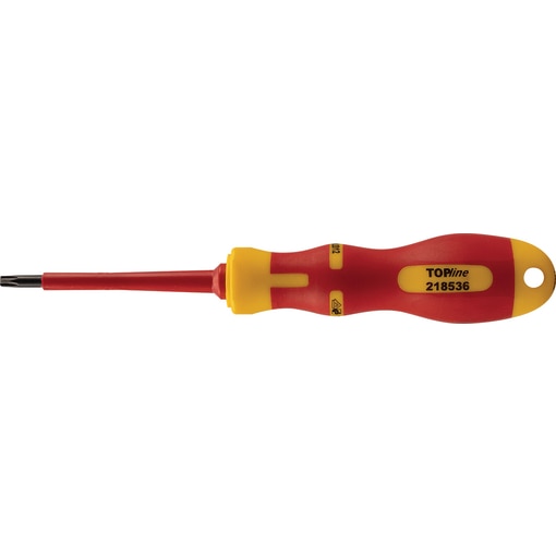 SCR.DR. VDE R-TX 25x80