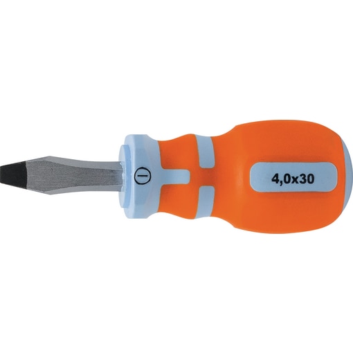 SCR.DR. SHORT SLOT 4,0x30 P
