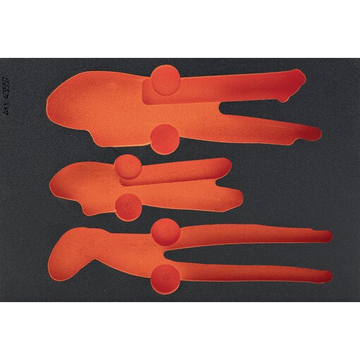 FOAMLINING PLIERS 3