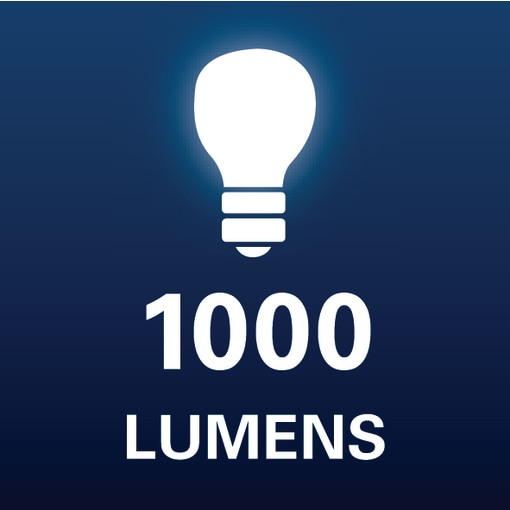 1000 Lumens