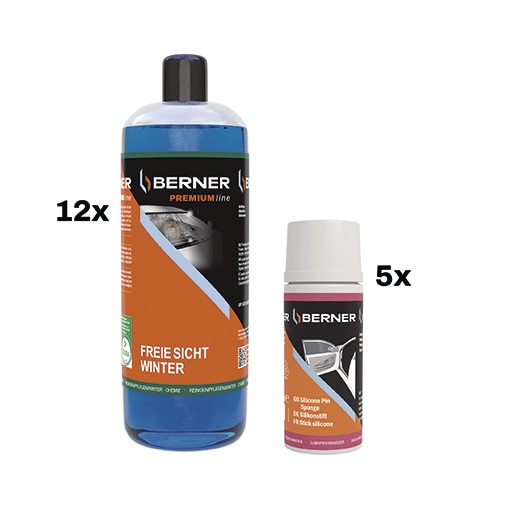Cleanstar Winter Premium & Silikonstift