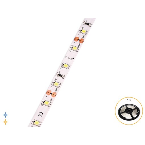 Ruban LED Lynx Basic 4,8W/m IP20