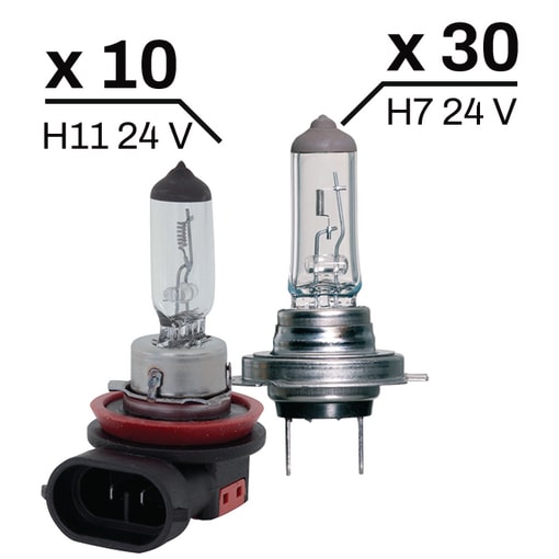 Pack ampoules VI 24V