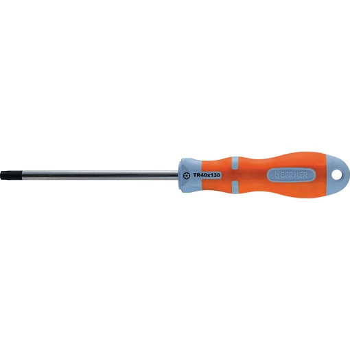 SCR.DR. R-TX 25x100 T