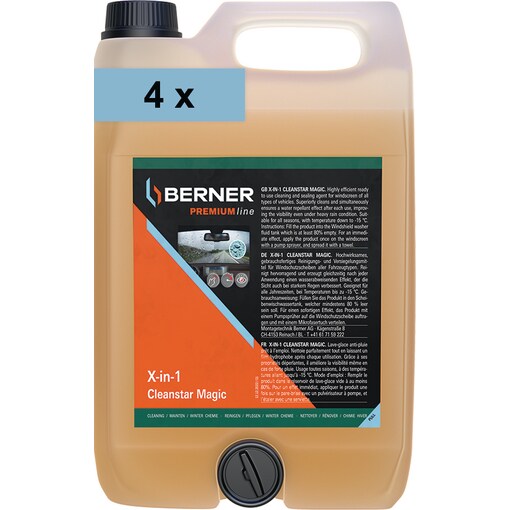 X-in-1 Cleanstar Magic