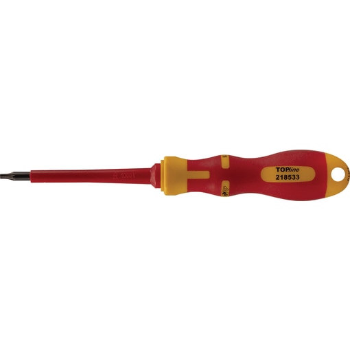 SCR.DR. VDE R-TX 10x80