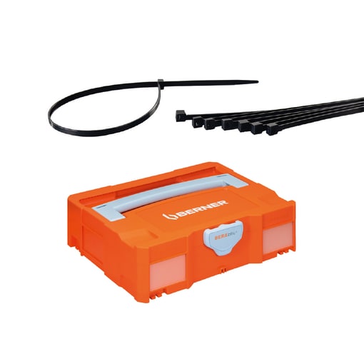 Pakket 1005971 - Nylon kabelbanden zwart 4,5x280